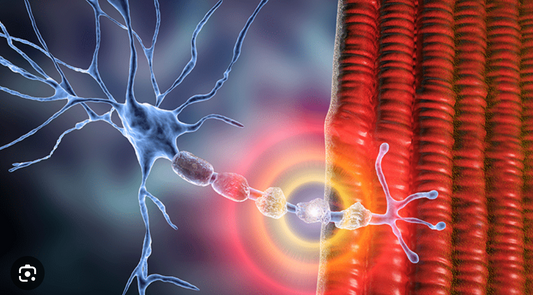 The Different Types of Neuropathy (And How to Find Relief)