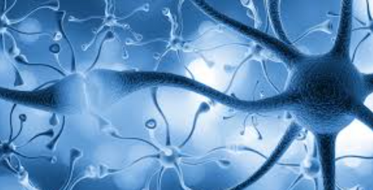 Is Neuropathy Reversible? The Science Behind Nerve Healing and How To Heal
